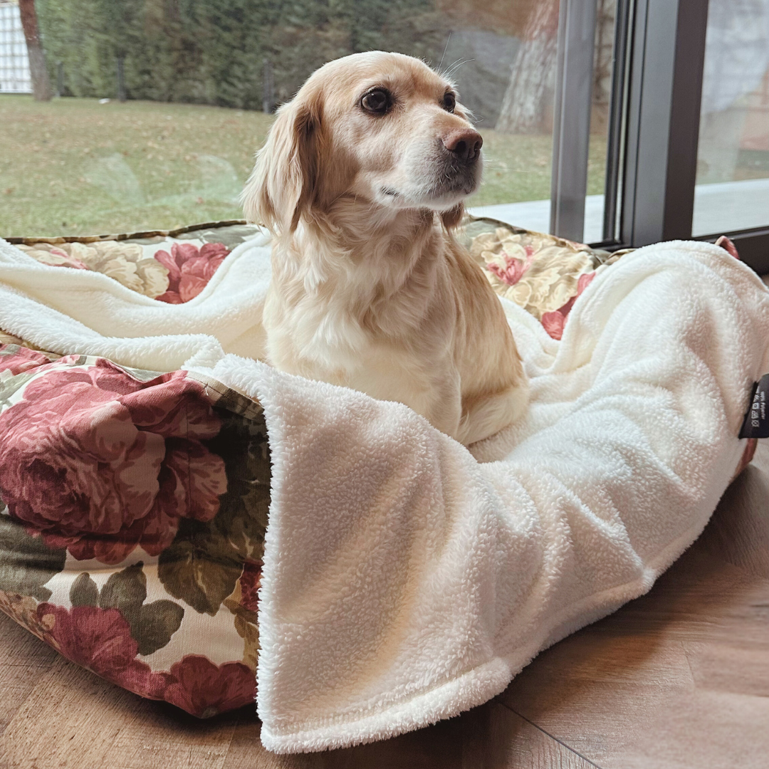 Dog Blanket Washable 36x60 inches Fleece Blanket Throw for Small, Medi