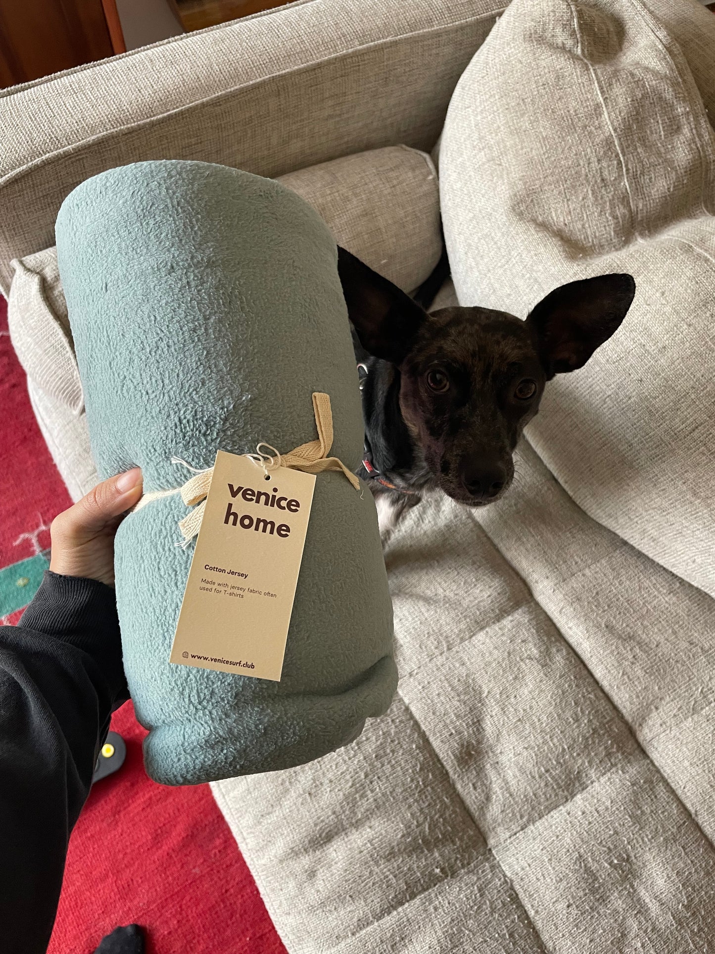 Dog Blanket Washable 36x60 inches Fleece Blanket Throw for Small, Medium, Large Dogs and Cats