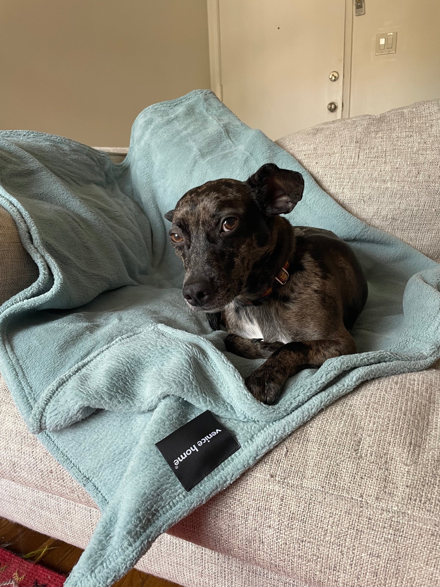 Dog Blanket Washable 36x60 inches Fleece Blanket Throw for Small, Medium, Large Dogs and Cats