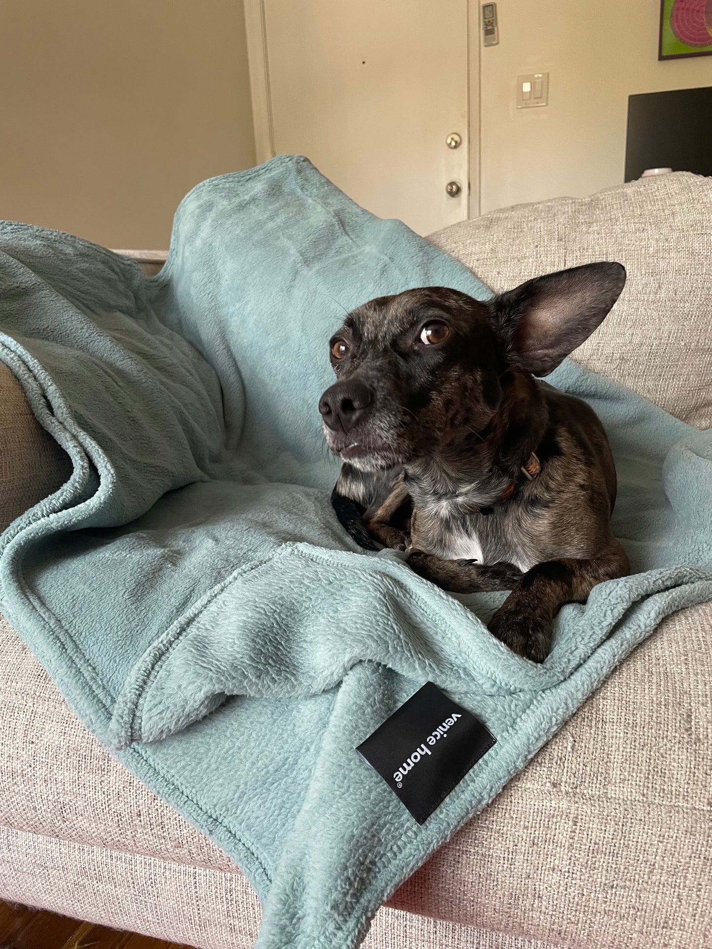 Dog Blanket Washable 36x60 inches Fleece Blanket Throw for Small, Medium, Large Dogs and Cats
