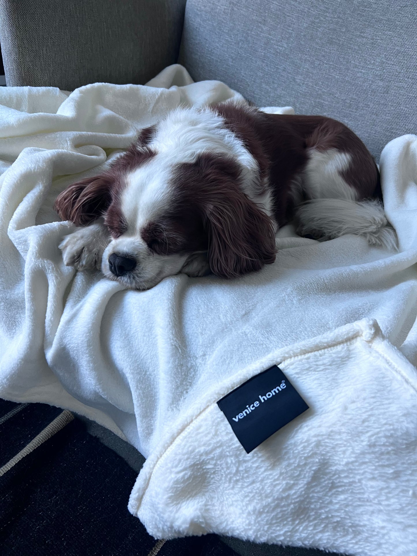 Dog Blanket Washable 36x60 inches Fleece Blanket Throw for Small, Medium, Large Dogs and Cats